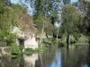 Verteuil-sur-Charente - Río Charente (Charente valle) y los árboles a la orilla del agua