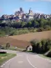 Vézelay - Vista da colina Vézelay da estrada abaixo