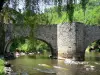 Vézère valley - Old bridge Vigeois on Vézère and trees along the river