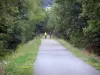 Vía Verde - Bici senda Vía Verde (antiguo ferrocarril) bordeado de árboles, los ciclistas (ciclismo)