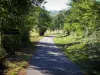 Vía Verde - Vía Verde carril bici (antiguo ferrocarril) con árboles