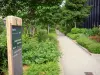 Viaducto de las Artes con el Paseo plantado - Corredor verde René Dumont: paseo por la Promenade plantada situado en el viaducto