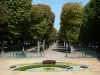 Vichy - Spa town (resort): Park of the Springs and its tree alleys, flowerbed in the foreground