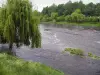 Vienne valley - The River Vienne lined with trees and weeping willows