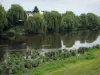 Vienne valley - Bank in foreground, Vienne River and weeping willows along the water