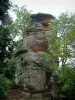 Vieux Windstein castle - Sandstone rocks ruins and trees (climbing site)