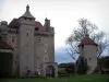 Villemonteix castle - Castle and tree