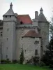 Villemonteix castle - Castle