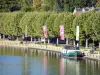 Villeneuve-sur-Yonne - Árboles a lo largo del río Yonne y barco amarrado en el muelle