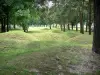 Vimy Canadian memorial - Battlefield