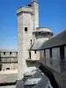 Vincennes castle - Architectural elements of the castle