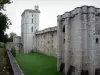 Vincennes castle - Towers and enclosure of the castle