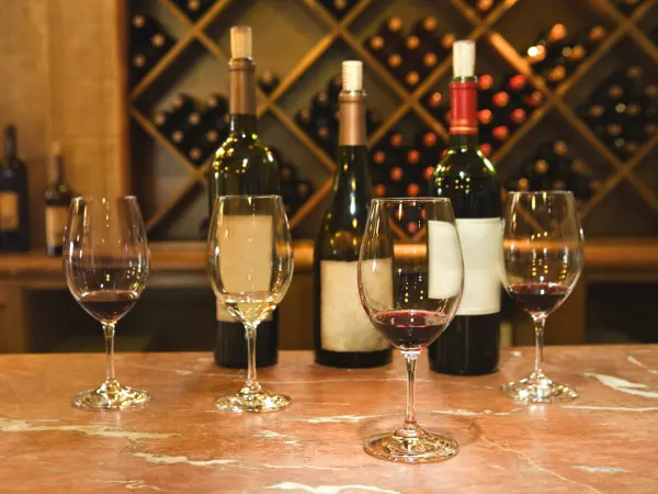 I vini di Bordeaux - Guida Gastronomia e vacanze