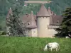Virieu castle - Medieval fortress, trees and cows in a meadow in the foreground