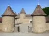Virieu castle - Entrance towers, front courtyard and medieval fortress