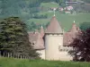 Virieu castle - Meadow, trees and medieval fortress