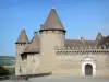 Virieu castle - Medieval fortress, keep, entrance gate and front courtyard with its fountain