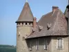 Virieu castle - Tower and facade of the medieval fortress
