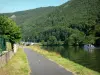 Voie Verte Trans-Ardennes - Vallei van de Maas, in het Parc Naturel Regional des Ardennes: Greenway (fietspad) gebouwd op de oude jaagpad langs de Maas, in een groene omgeving, bootje varen op de rivier en de brug in Haybes achtergrond