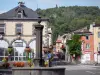 Volvic - Volvic fuente de piedra, edificio que alberga la oficina de turismo, las flores y las casas de la aldea en el Parque Natural Regional de los Volcanes de Auvernia