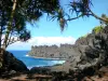 Wild South - Cape Méchant headland, in the town of Saint-Philippe, and Indian Ocean