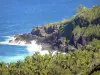 Wild South - View of the Grande Anse site (town of Petite-Île) and the Indian Ocean