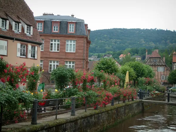 Wissembourg - Tourism & Holiday Guide
