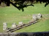 Yacimiento arqueológico de Fontaines Salées - Restos arqueológicos