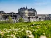 小巴探索日：昂布瓦兹城堡、舍农索城堡、尚博城堡和克洛斯卢塞城堡 - 活动 - 假期及周末游在Tours