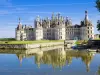旅游必看的城堡：Azay-le-Rideau，Chambord，Cheverny和Villandry花园 - 活动 - 假期及周末游在Tours
