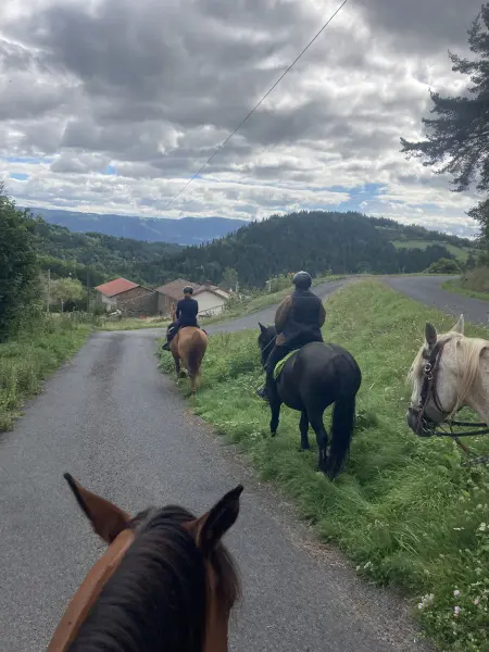 Balade à cheval au coeur du Parc du Livradois forez - Activité de loisirs à  Doranges