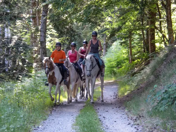 Balade à cheval dans les Monts du Forez - Activité de loisirs à  Vollore-Montagne