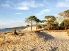 Camping Dolce Vita - Campsite - Holidays & weekends in Calvi