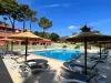 Camping Des Mimosas - Campsite - Holidays & weekends in Argelès-sur-Mer