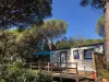 Camping de Parpaillon - Campsite - Holidays & weekends in Roquebrune-sur-Argens