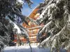 Chalet cytelles vip 40m² meribel altiport - Rental - Holidays & weekends in Méribel