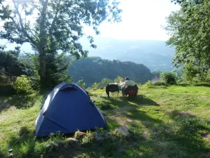 Le Clou - Camping, Chambres d'hotes et gites - Camping à Thiézac