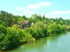 Domaine de Chantemerles : House of the Woods - Rental - Holidays & weekends in Bois-le-Roi