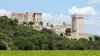 Fast-track admission to the Abbaye de Montmajour - Arles (40 mins from Avignon) - Activity - Holidays & weekends in Arles