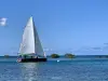 Grand Cul-de-sac Marine Bay Small Group Sailing Cruise - Departing from Baie-Mahault - Activity - Holidays & weekends in Baie-Mahault