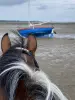 Horse or pony ride in the forest and on the beach - Activity - Holidays & weekends in Ronce-les-Bains