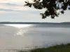 Lodging the lake - Campsite - Holidays & weekends in Lacanau