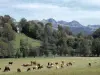 O Moulin de Serre - Massif du Sancy acampando no moinho da estufa