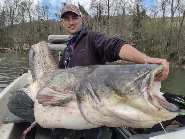 Lot-et-Garonne : de bonnes conditions de pêche pour l'ouverture du  carnassier