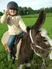 Randonnée accompagnée avec des ânes - Activité - Vacances & week-end à Flachères