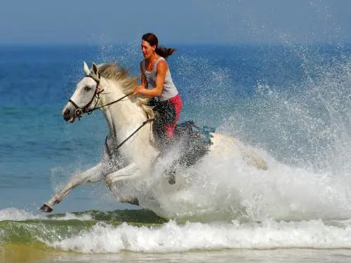 Randonnée à cheval en forêt et sur la plage - Activité de loisirs à Mimizan