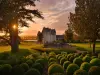 The Royal Château d'Amboise – Visit with optional audio guide - Activity - Holidays & weekends in Amboise