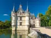 Scopri i castelli di Azay-le-Rideau, Chenonceau, Amboise, Clos Lucé e i giardini di ViIlandry in minibus - Partenza da Tours - Attività - Vacanze e Weekend a Tours