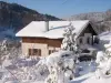 Ventron vosges chalet meublé 2 à 9 pers - Rental - Holidays & weekends in Ventron