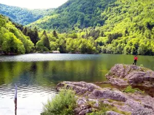 The Ballons des Vosges Regional Nature Park - Tourism & Holiday Guide